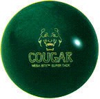 Cougar.jpg (8033 bytes)