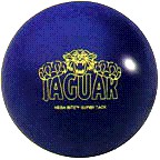 Jaguar.jpg (9800 bytes)