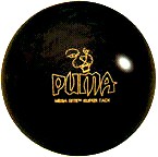 Puma.jpg (7224 bytes)